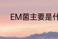 EM菌主要是什么　什么叫EM菌