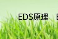 EDS原理　EDS是什么意思