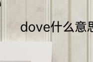 dove什么意思除了鸽子和德芙