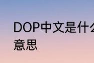 DOP中文是什么意思　备注dop什么意思