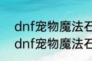 dnf宠物魔法石残影特效怎么弄出来　dnf宠物魔法石残影特效怎么弄出来