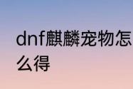 dnf麒麟宠物怎么得　dnf麒麟宠物怎么得