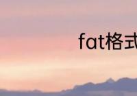 fat格式是什么意思