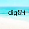 dig是什么意思　dig是什么意思