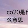 co20是什么材料　铝镁合金20是什么意思