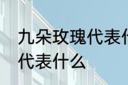 九朵玫瑰代表什么意思　1一9朵玫瑰代表什么