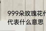 999朵玫瑰花代表什么　999朵玫瑰代表什么意思