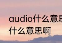 audio什么意思　手机里的AUDIO是什么意思啊