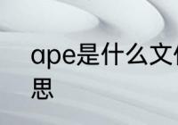 ape是什么文件　ape文件是什么意思