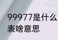 99977是什么意思　新娘纹99977代表啥意思