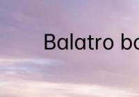 Balatro boss盲注效果一览