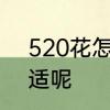 520花怎么送　520送朋友什么花合适呢