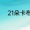 21朵卡布奇诺玫瑰花是什么意思