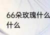 66朵玫瑰什么意思　66束玫瑰花代表什么