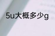 5u大概多少g　川崎极光5u啥意思