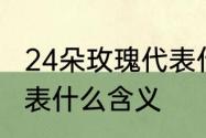 24朵玫瑰代表什么含义　24朵玫瑰代表什么含义