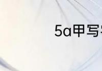 5a甲写字楼什么意思