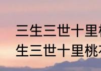 三生三世十里桃花代表什么意思　三生三世十里桃花是什么寓意