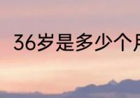 36岁是多少个月　36岁属于中年吗