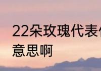 22朵玫瑰代表什么　22朵玫瑰是什么意思啊