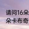 请问16朵粉色玫瑰代表什么意思　16朵卡布奇诺寓意