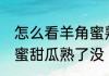 怎么看羊角蜜熟了没有 怎么判断羊角蜜甜瓜熟了没