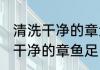 清洗干净的章鱼足是怎样的 怎样清洗干净的章鱼足