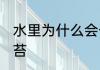 水里为什么会长青苔 水里为何会长青苔