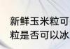 新鲜玉米粒可以冰冻保存吗 新鲜玉米粒是否可以冰冻保存