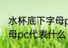 水杯底下字母pc什么意思 水杯底下字母pc代表什么