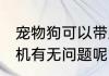 宠物狗可以带上飞机吗 带宠物狗上飞机有无问题呢