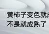 黄柿子变色就成熟了吗 黄柿子变色是不是就成熟了