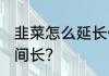 韭菜怎么延长保鲜期 韭菜如何存放时间长？