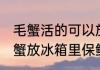 毛蟹活的可以放冰箱的保鲜吗 活的螃蟹放冰箱里保鲜不会死吗