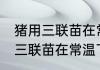 猪用三联苗在常温下可以放多久 猪用三联苗在常温下可以放多长时间