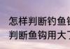 怎样判断钓鱼钩过大 用什么方法可以判断鱼钩用大了还是用小了