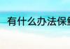 有什么办法保鲜桑椹 如何保鲜桑椹