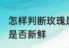 怎样判断玫瑰是否新鲜 如何判断玫瑰是否新鲜