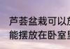 芦荟盆栽可以放卧室吗 芦荟盆栽能不能摆放在卧室里