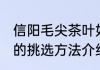 信阳毛尖茶叶如何挑选 信阳毛尖茶叶的挑选方法介绍