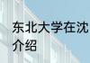 东北大学在沈阳哪个区 东北大学相关介绍