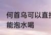 何首乌可以直接泡水喝吗 何首乌能不能泡水喝