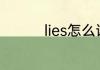 lies怎么读 lies英文解释