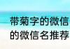 带菊字的微信名有内涵 带菊字有内涵的微信名推荐