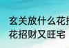 玄关放什么花招财又旺宅 玄关放哪些花招财又旺宅