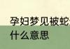 孕妇梦见被蛇追 孕妇梦见被蛇追代表什么意思