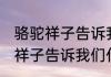 骆驼祥子告诉我们什么道理 小说骆驼祥子告诉我们什么道理