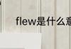 flew是什么意思 flew英文解释