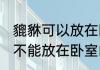 貔貅可以放在卧室的飘窗上吗 貔貅能不能放在卧室的飘窗上吗