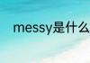 messy是什么意思 messy的意思